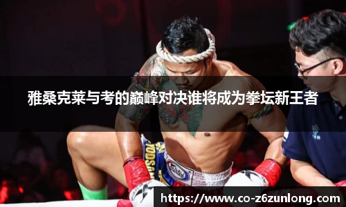 雅桑克莱与考的巅峰对决谁将成为拳坛新王者