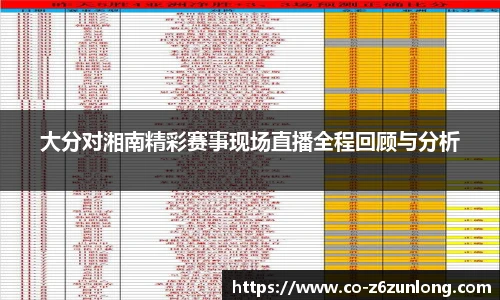 大分对湘南精彩赛事现场直播全程回顾与分析