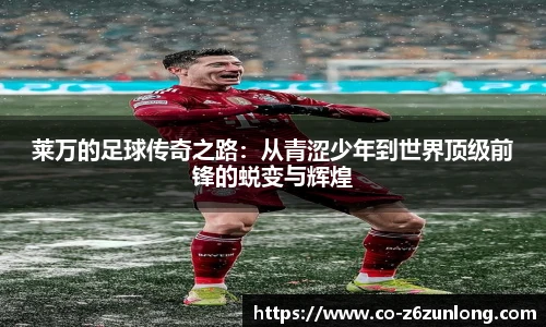 Z6·尊龙凯时