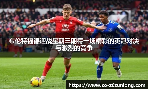 尊龙官网中国官网入口